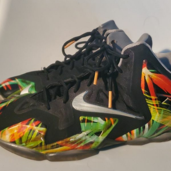Lebron 11 'Everglades! - Picture 1 of 3
